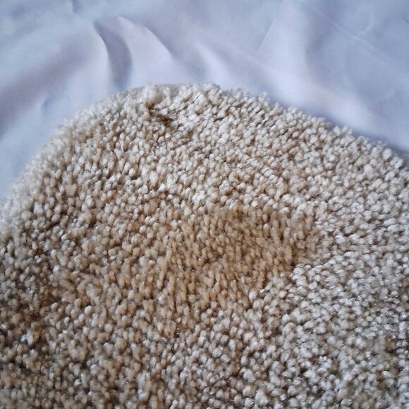 NWT Mohawk Home Classic Beige Rug - Picture 8 of 10